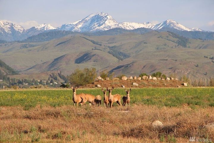 Property Grounds 64 of 87