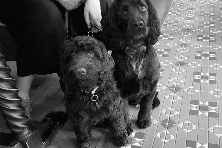 Pet Friendly 10 of 23
