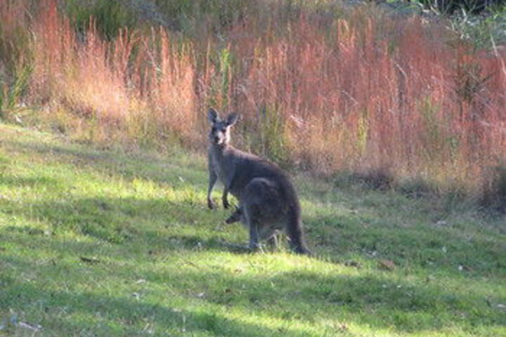 Property Grounds 157 of 177