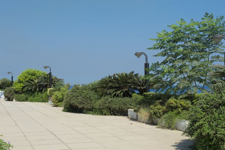 Terrace/Patio 40 of 42