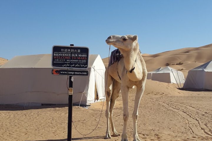 Camp Mars in Douz Sud