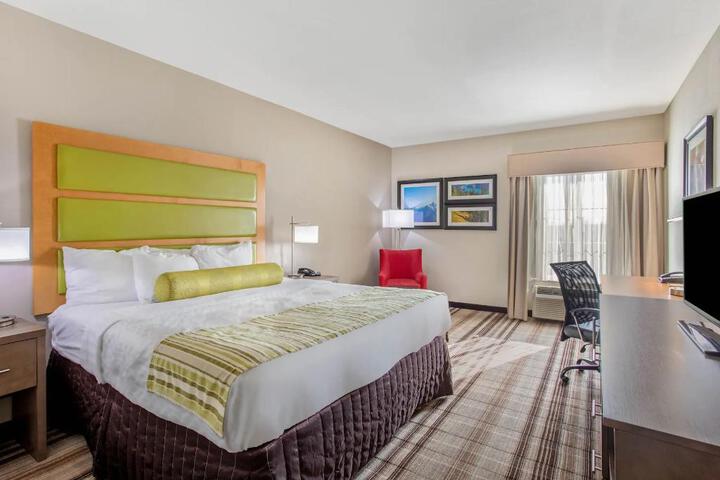 1 King Bed (24 of 26)
