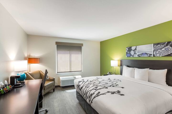 1 King Bed (7 of 13)