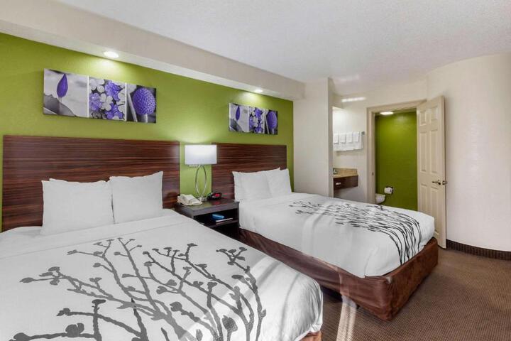 2 Double Beds (12 of 19)