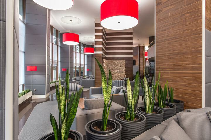 Guest Lobby