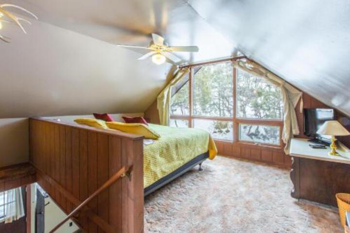 Singer Cabin 2 in Ridgway, CO