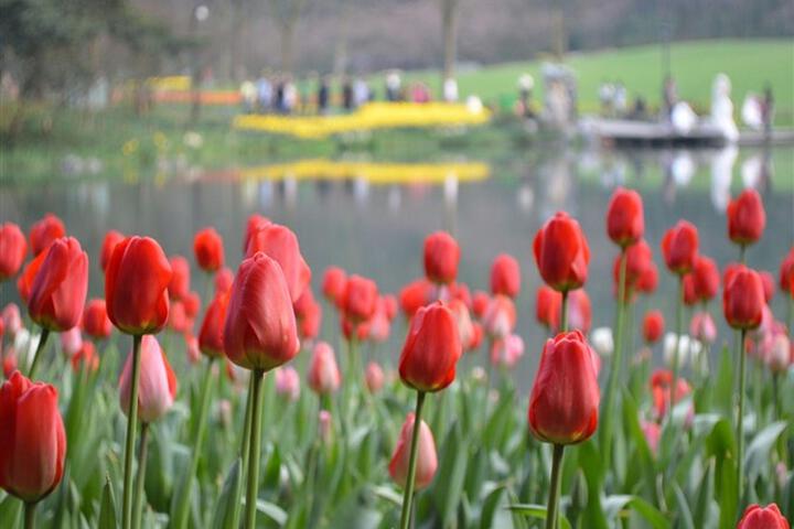 Nearby attraction