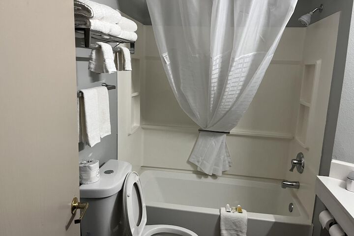 1 King Bed Accessible (3 of 28)