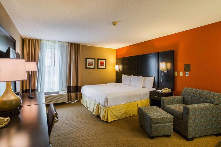 1 King Bed (12 of 13)