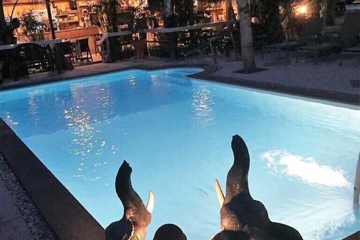 Hotel with Pool