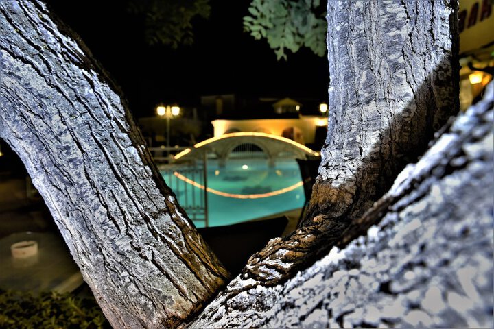 Hotel Pool