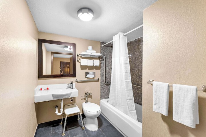 1 Queen Bed Accessible (11 of 11)