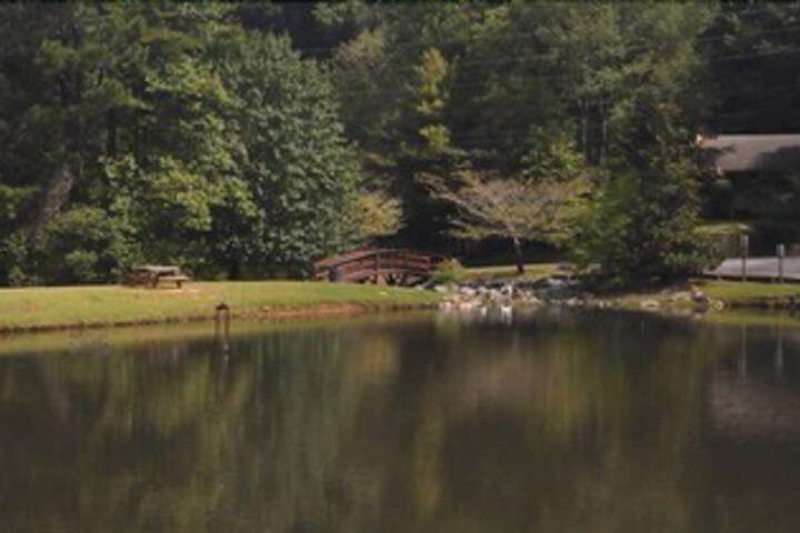Property Grounds 13 of 28