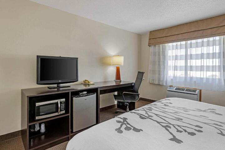 1 King Bed (8 of 11)