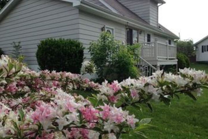 Terrace/Patio 26 of 28