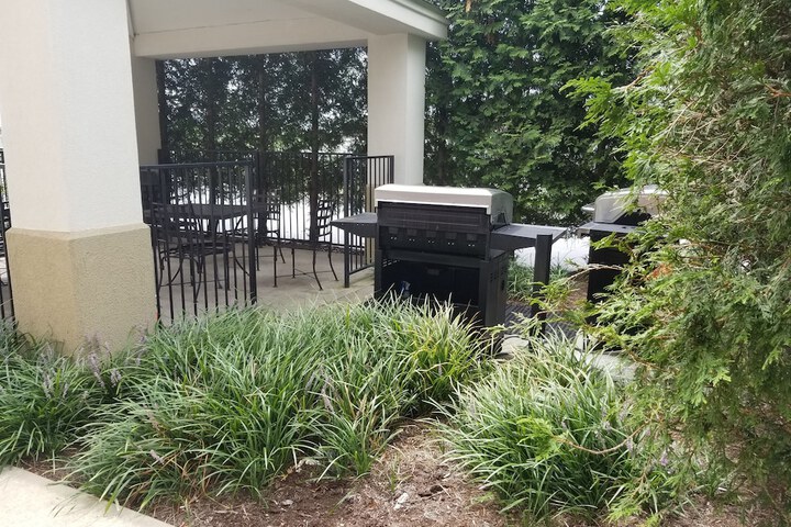 BBQ/picnic area