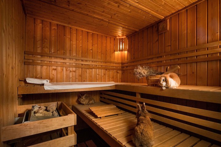 Spa 16 of 28