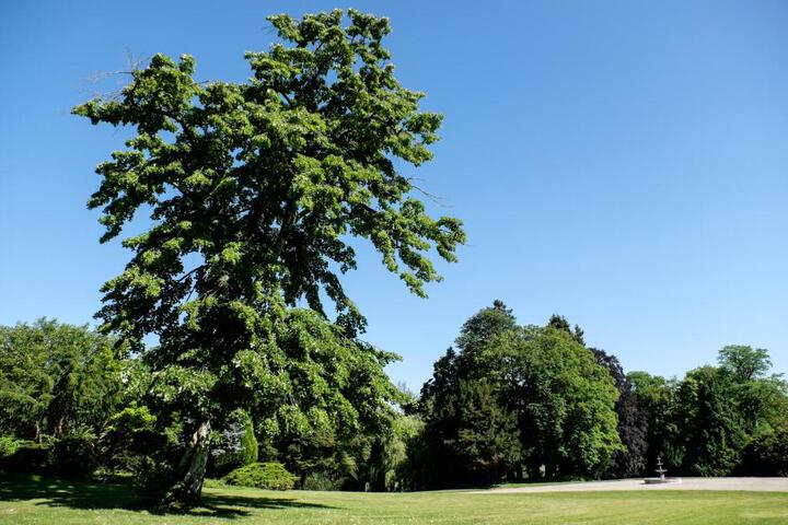 Photo 17