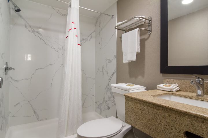 ADA Accessible Deluxe 2 Queen Beds with Roll in Shower (3 of 10)