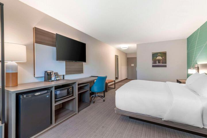 Standard King Bed Accessible (3 of 21)