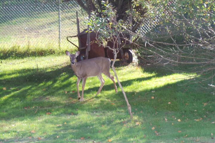 Property Grounds 231 of 246