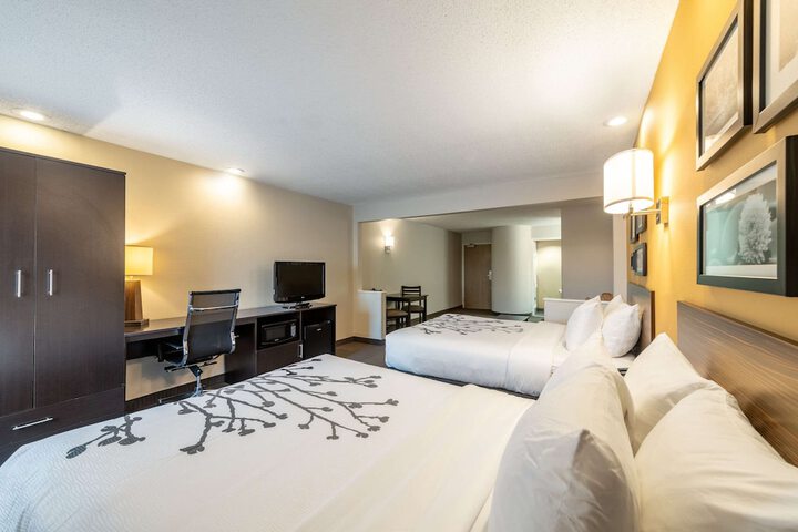1 Queen Bed Accessible (9 of 14)