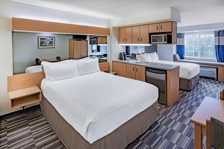 2 Queen Bed Mobility Hearing Accessible Room Roll in Shower (12 of 44)