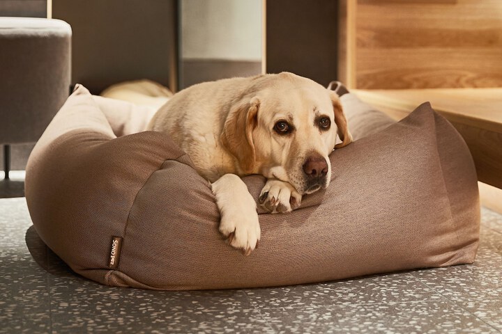 Pet Friendly 70 of 87