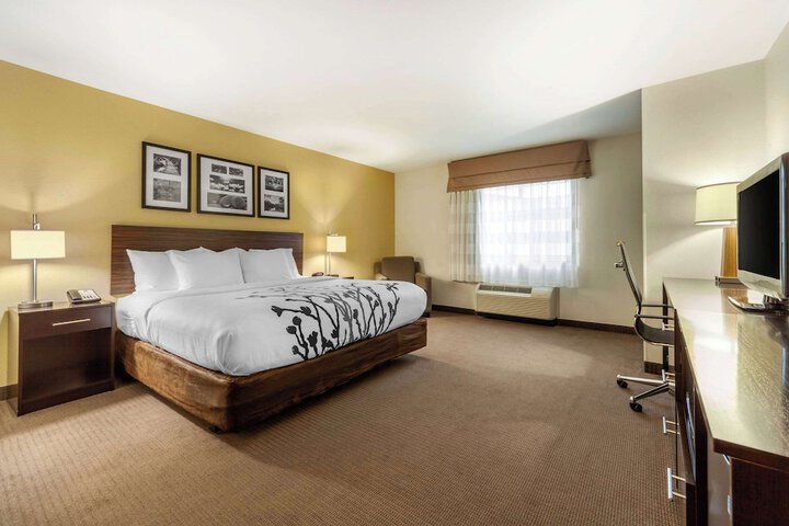 1 King Bed Accessible (6 of 18)