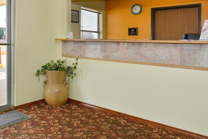 Photo 8