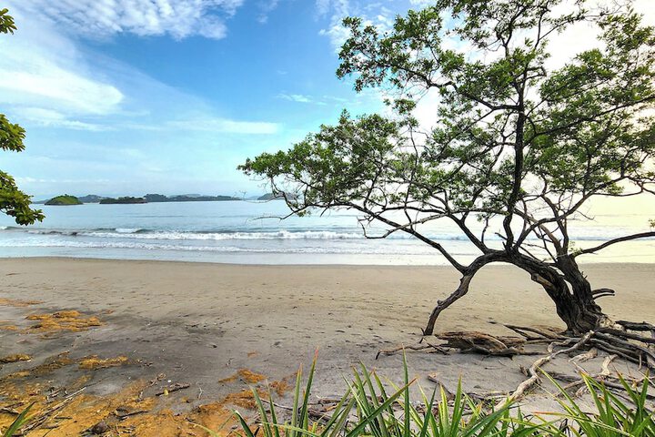 Beach 56 of 76