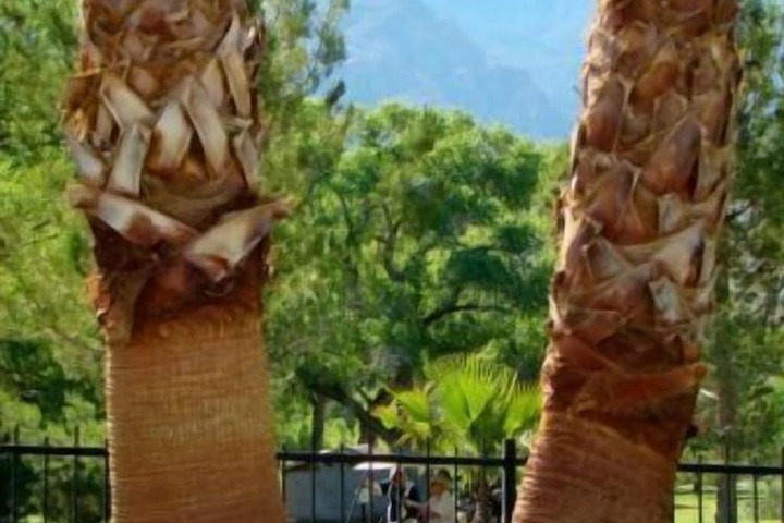 Property Grounds 24 of 30