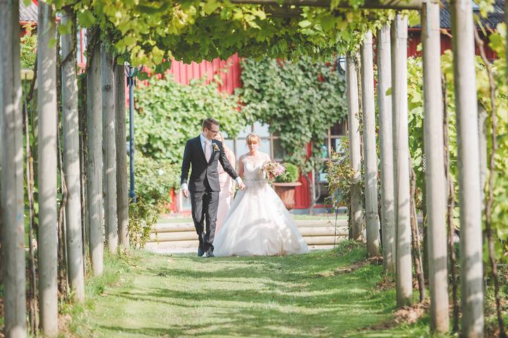 Wedding/Banquet 52 of 63