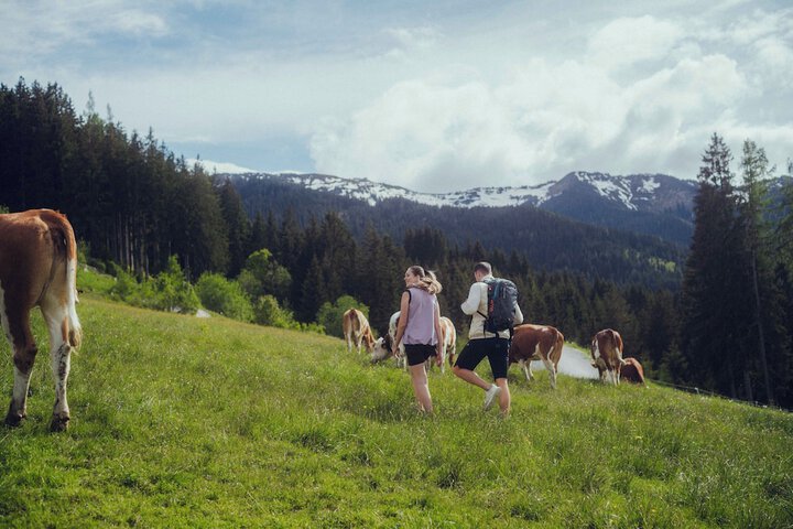 Outdoor Activities 100 of 126
