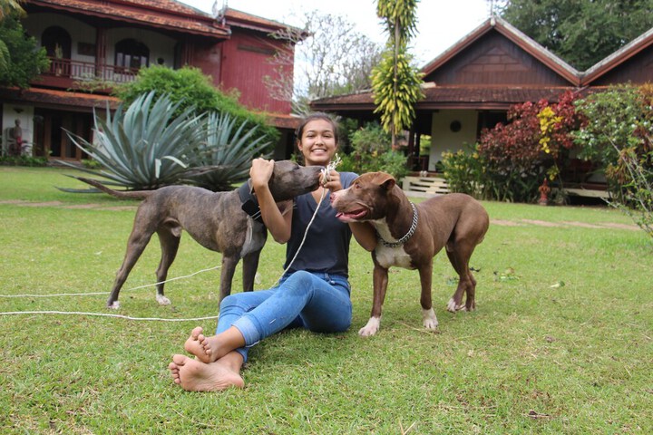 Pet Friendly 50 of 74