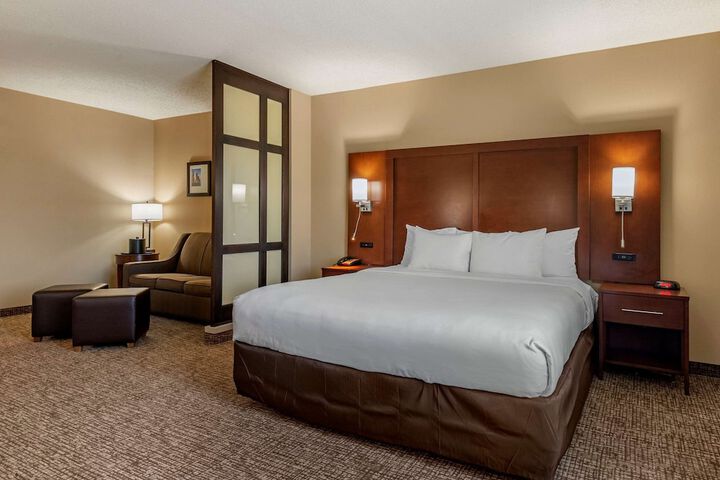 1 King Bed Suite (7 of 30)