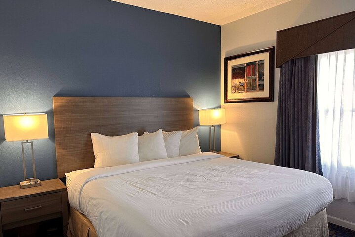 1 King Bed 1 Queen Bed Suite (16 of 19)