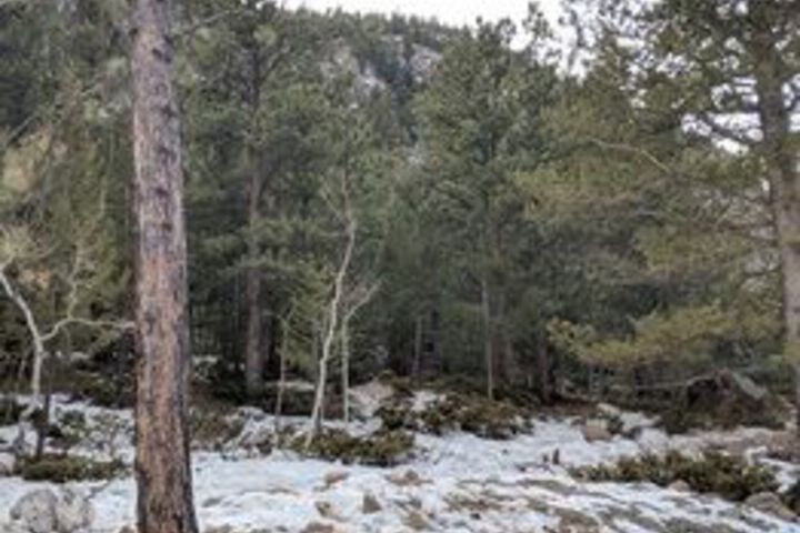 Property Grounds 68 of 75