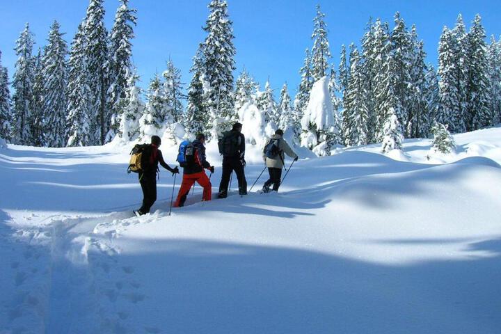 General 45 of 45