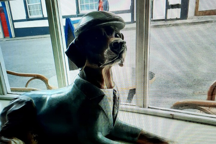 Pet Friendly 22 of 55