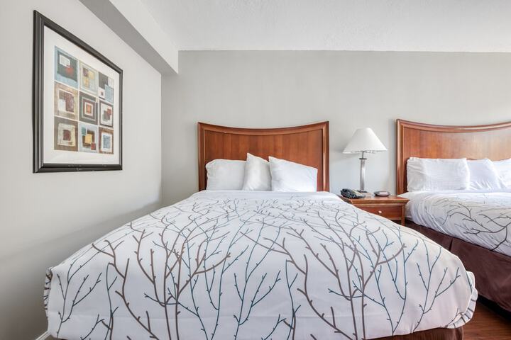 2 Queen Beds (8 of 12)