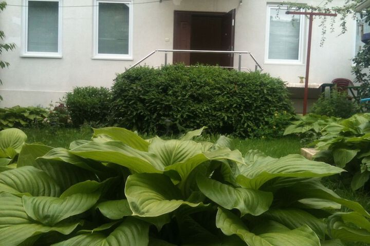 Terrace/Patio 42 of 54
