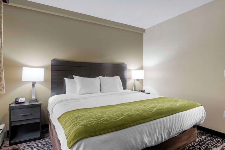 1 King Bed (16 of 19)