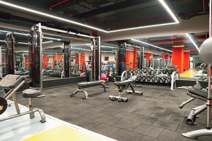 Gym & Fitness