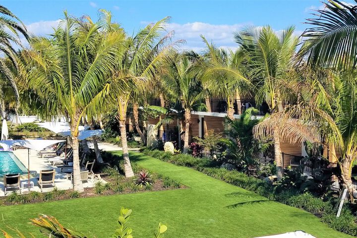 Garden view