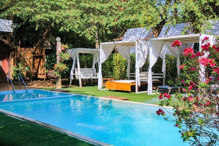 Pool 195 of 290