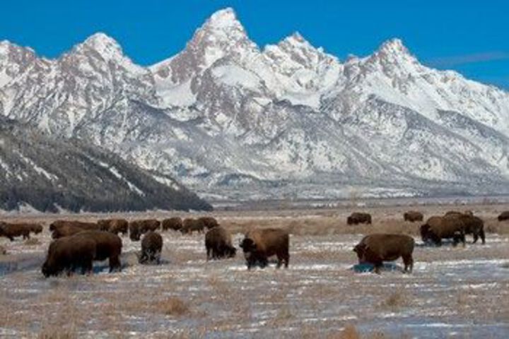 Property Grounds 22 of 24