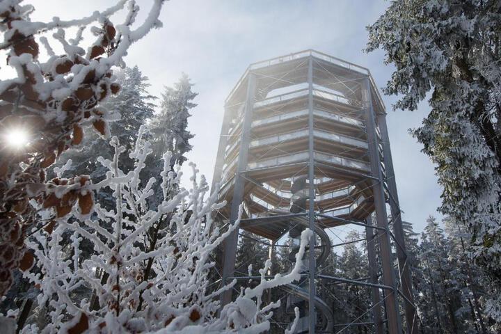 General 36 of 100