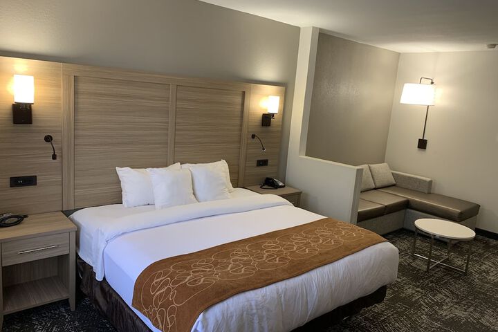 1 King Bed Suite (8 of 15)