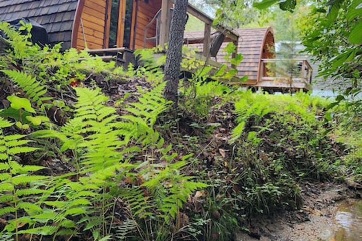 Terrace/Patio 242 of 313